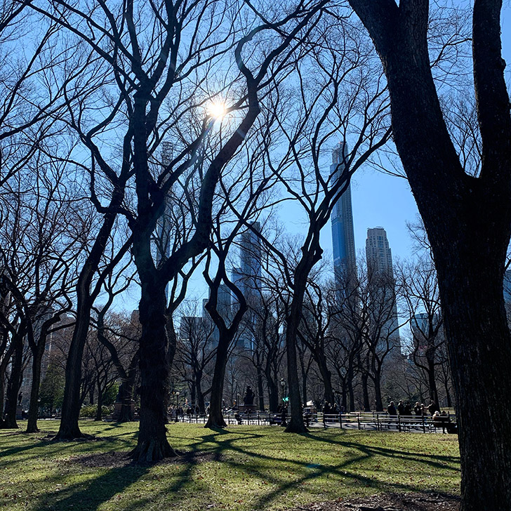 10+ things to see + do in Central Park - Travel for a Living