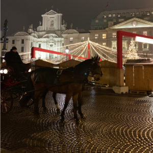 The best Christmas Markets in Vienna - Travel for a Living