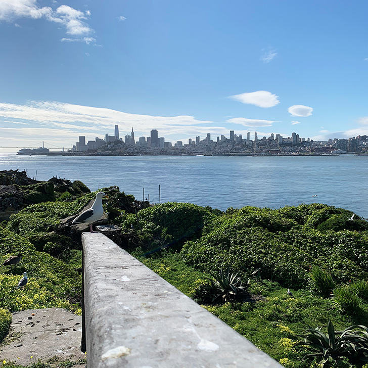 Is Alcatraz worth a visit? All you need to know when planning a trip to Alcatraz - Travel for a Living