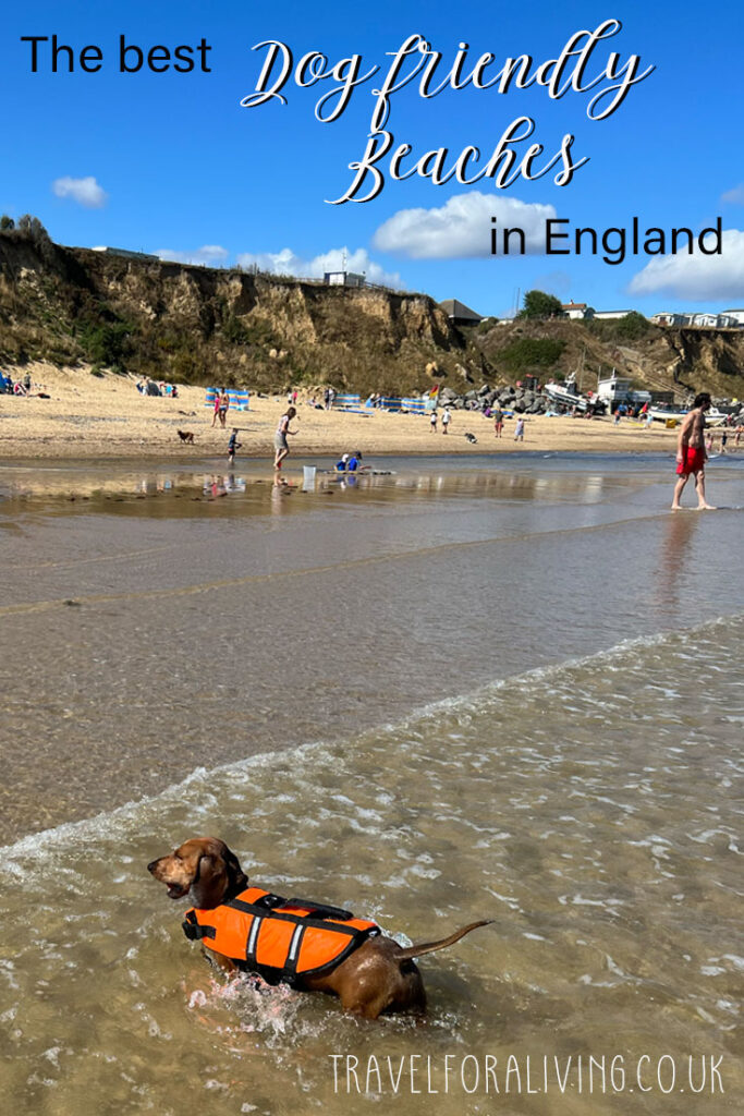 The best dog friendly beaches in England - Travel for a Living