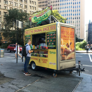 Street Food in New York - Travel for a Living