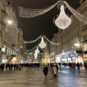 See the Christmas Lights in Vienna - Travel for a Living