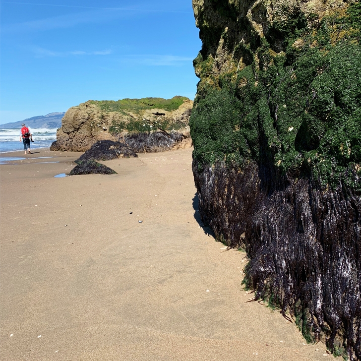 Along Ocean Beach - Our trip to SF - Travel for a Living