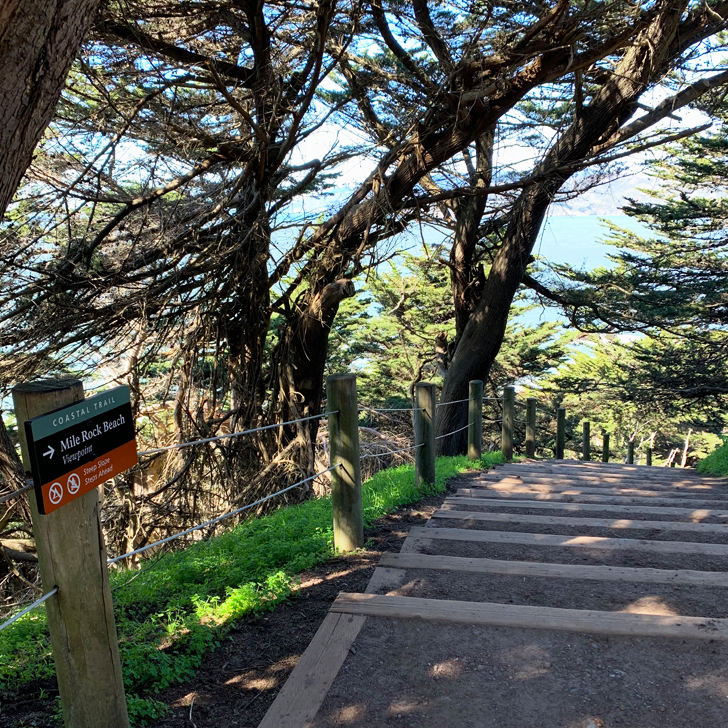 Along the Coastal Trail in San Francisco - Travel for a Living