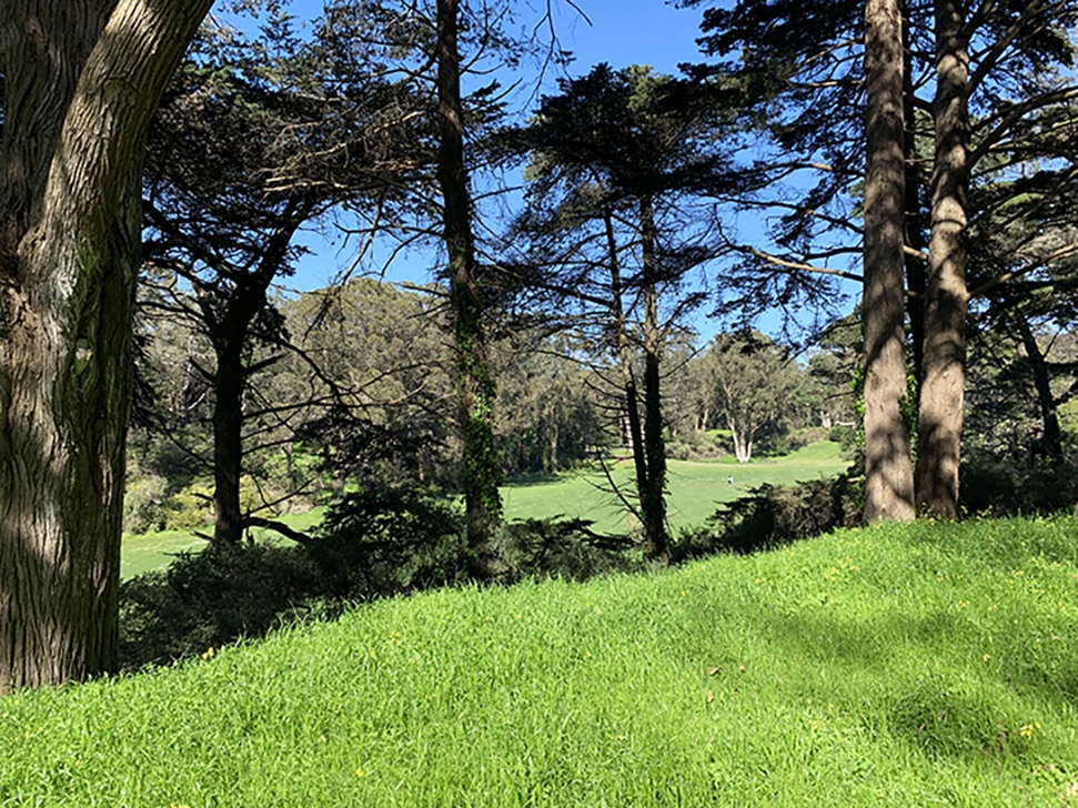 Golden Gate Park - Our Trip to San Francisco - Travel for a Living