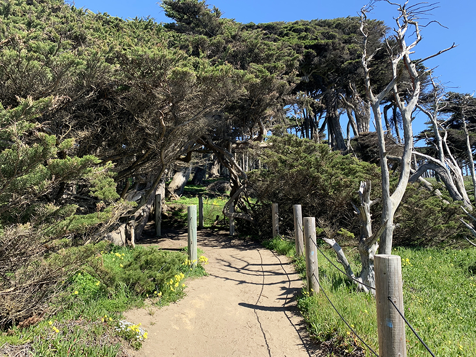 Along the Coastal Trail in San Francisco - Travel for a Living