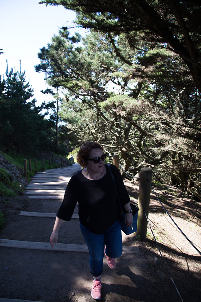 Walking Lands End Coastal Trail San Francisco - Travel for a Living