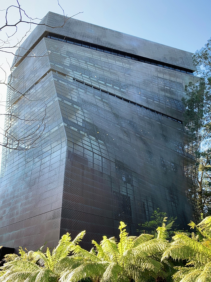 de Young Museum San Francisco - Travel for a Living