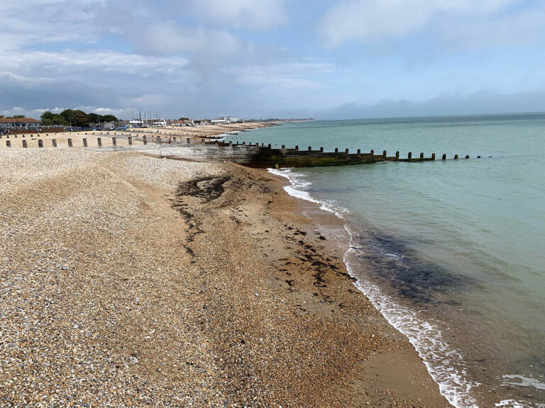 Dog Friendly Beaches in England Travel for a Living