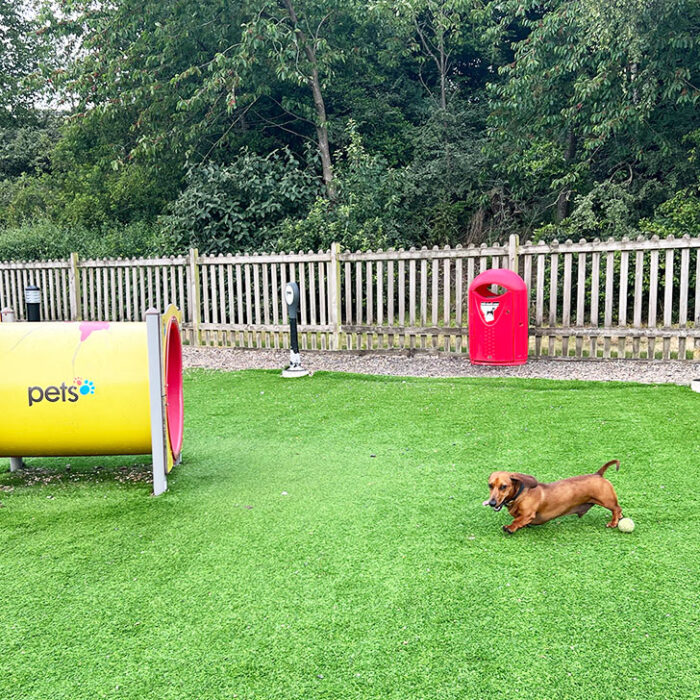 My experience taking the Eurotunnel LeShuttle Travel for a Living